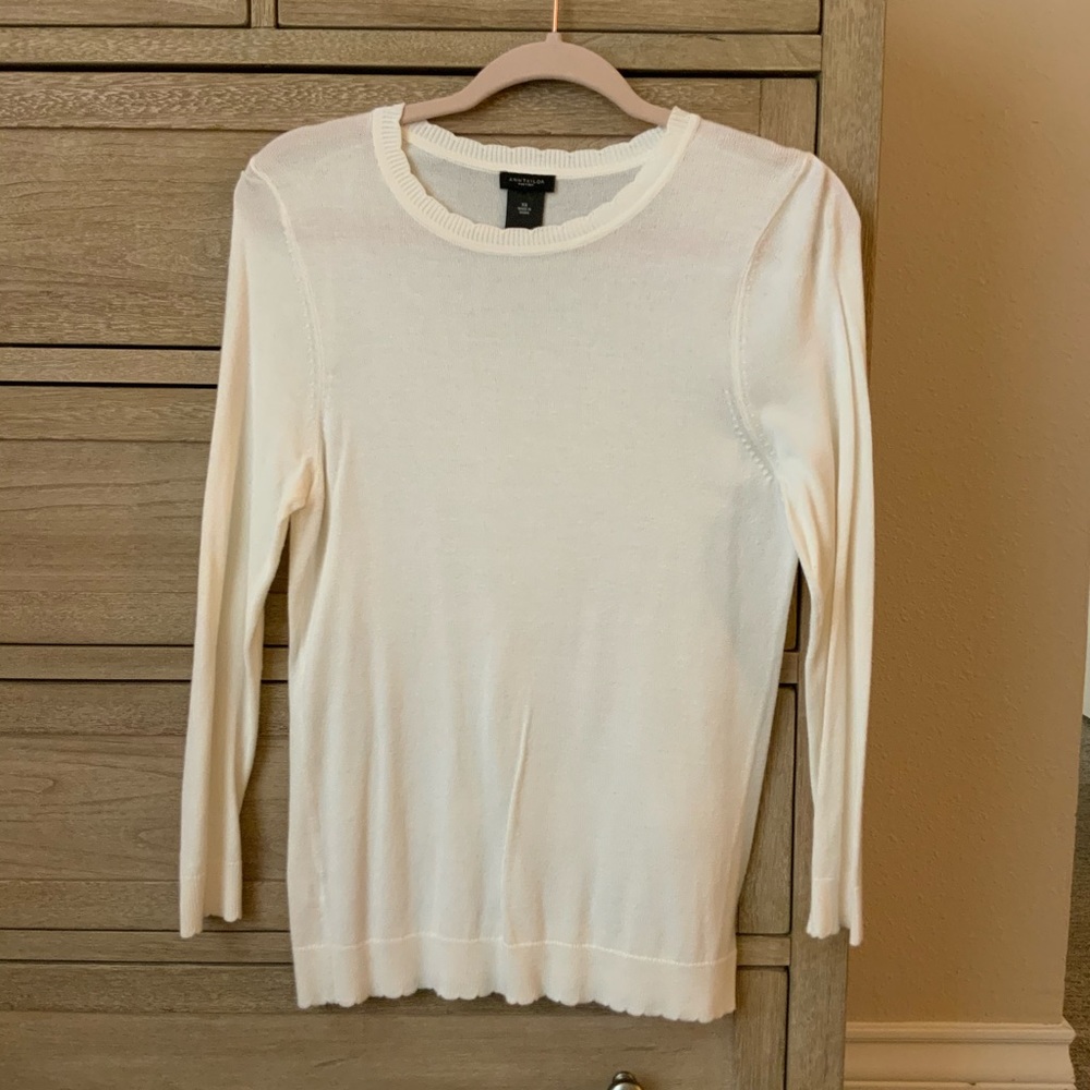 Ann Taylor Sweater Shirt